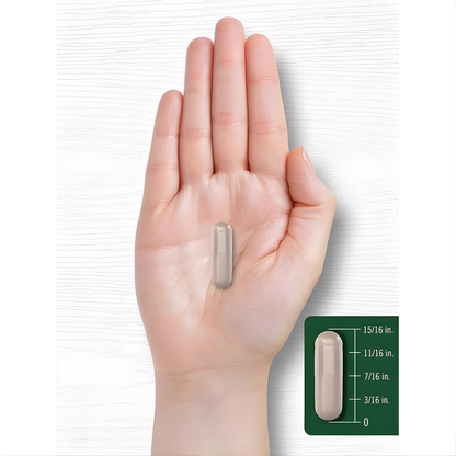 Qurella™ Horse Chestnut Capsules