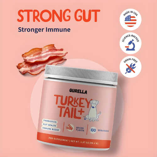 Qurella™ Turkey Tail+ Immune Support & Gut Health